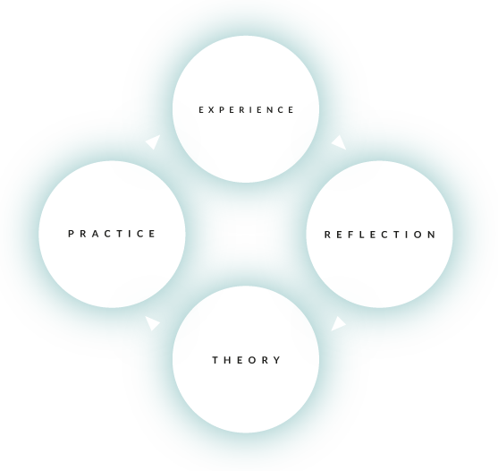 Kolb Cycle